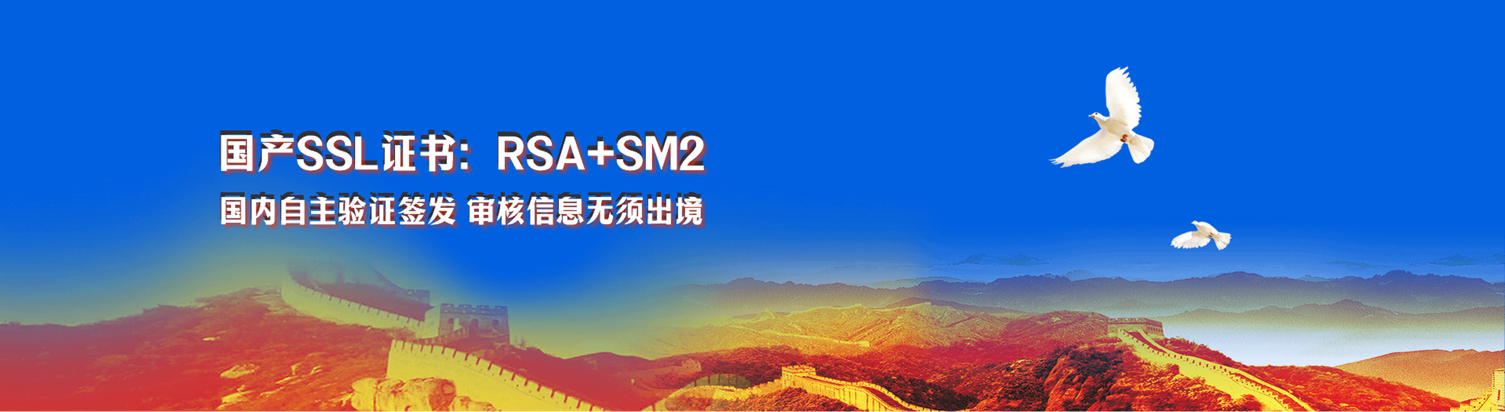 RSA-SM2